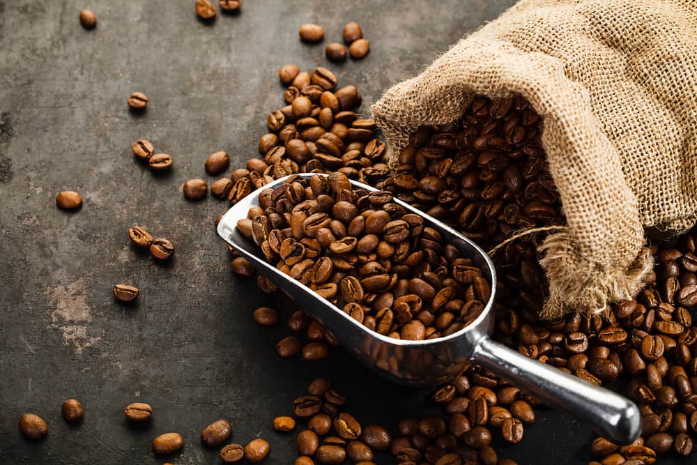Fresh roasted coffee beans